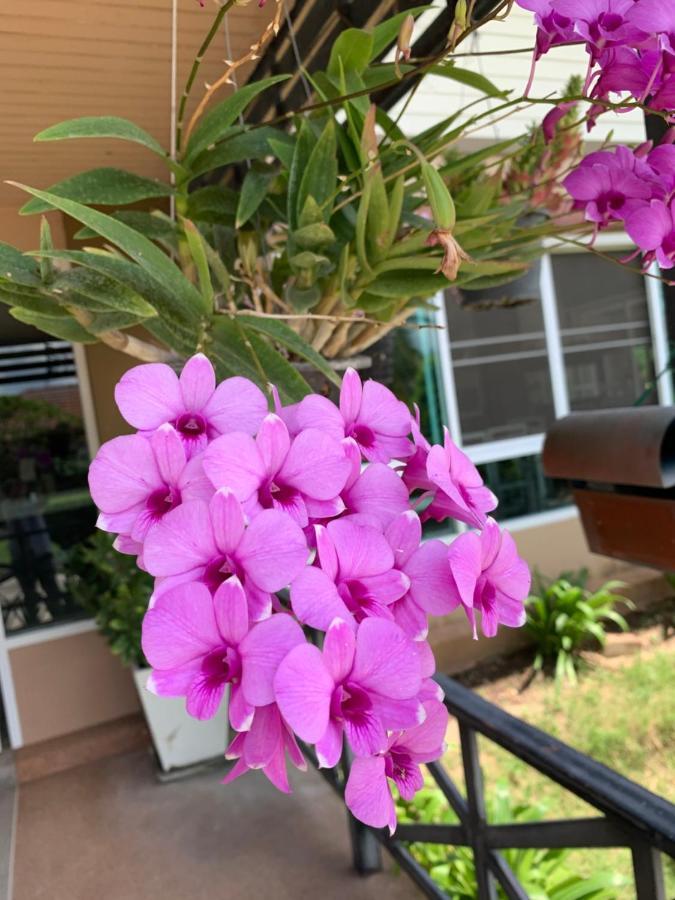 Готель The Orchid House Nong Kung Yai Екстер'єр фото